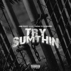 OMB Peezy Feat. Yhung T.o of SOB x RBE - Try Sumthin