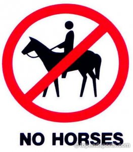 no-horses_500_copyright.jpg