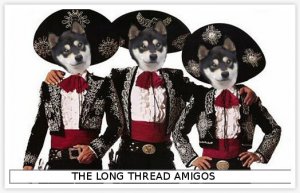 longthreadamigos.jpg